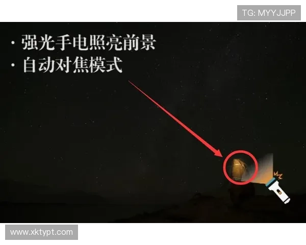 星空官网登录入口：星空平台官方入口的使用技巧与登录流程详解