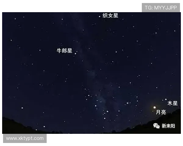 星空电子娱乐下载：新用户注册与快速上手攻略