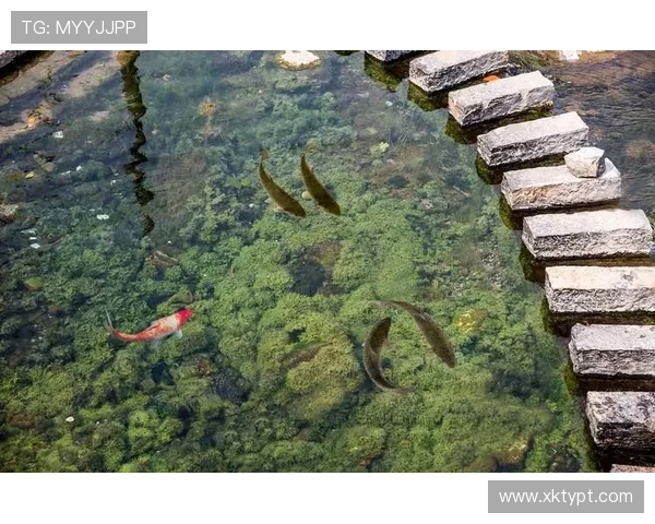 博鱼官方网站最新版本客户端下载指南详解