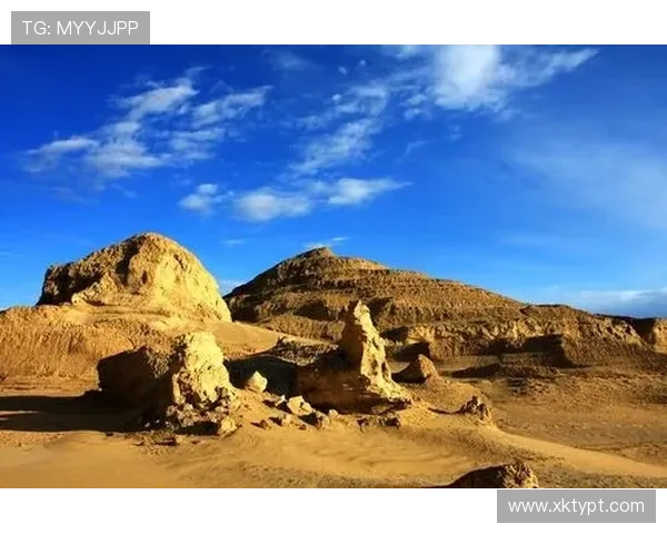 星空体育官网入口登录：登录故障处理与账户安全维护解决方案大全